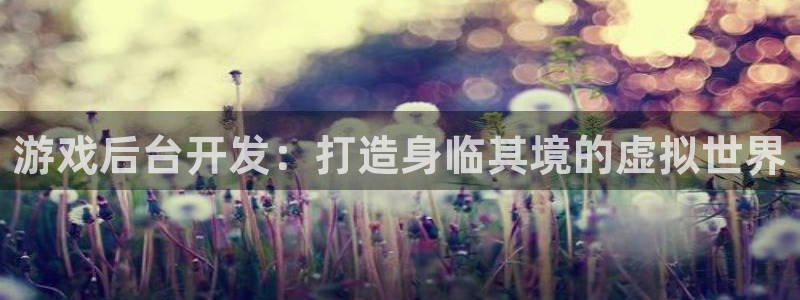 沐鸣2平台主管代理