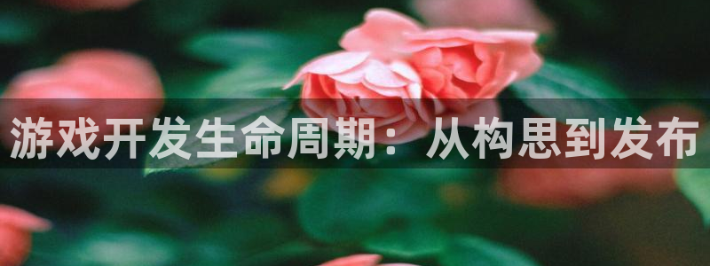 沐鸣2娱乐平台注册
