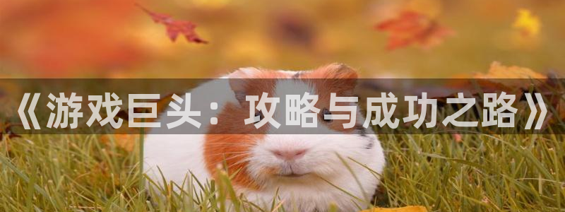 沐鸣2注册地址