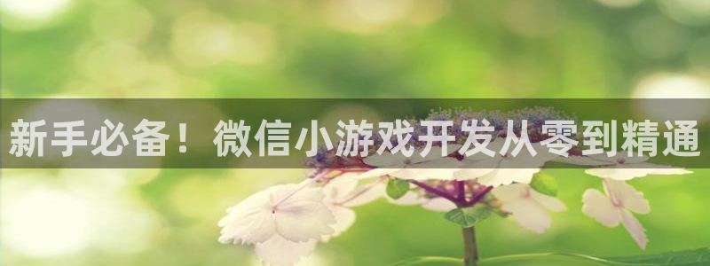 沐鸣娱乐2返点