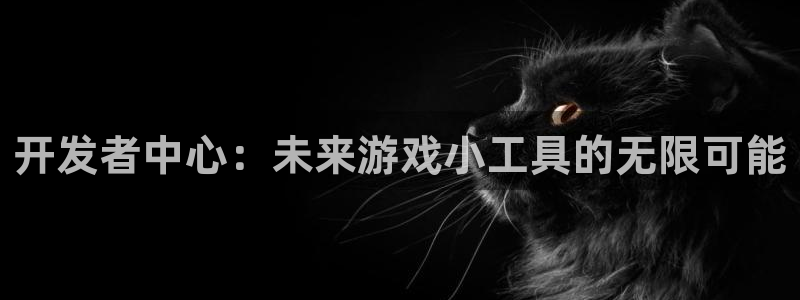 沐鸣娱乐2下载：开发者中心：未来游戏小工具的无限可能