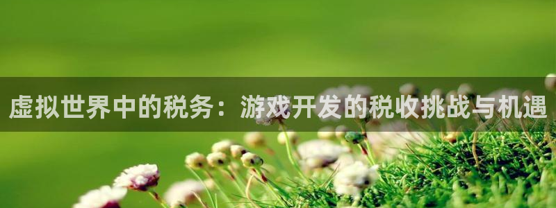 沐鸣娱乐2登陆不上怎么办：虚拟世界中的税务：游戏开发的税收挑战与机遇