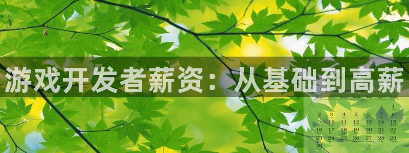 沐鸣2账号注册：游戏开发者薪资：从基础到高薪