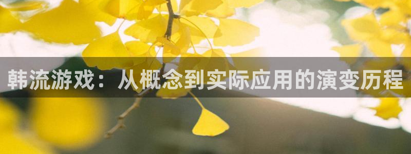 沐鸣2官网：韩流游戏：从概念到实际应用的演变历程