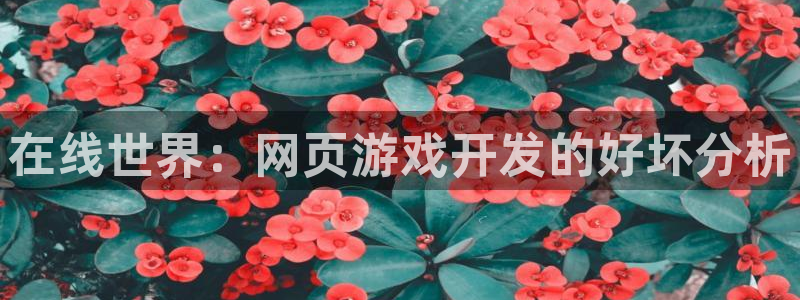 沐鸣2注册登录：在线世界：网页游戏开发的好坏分析