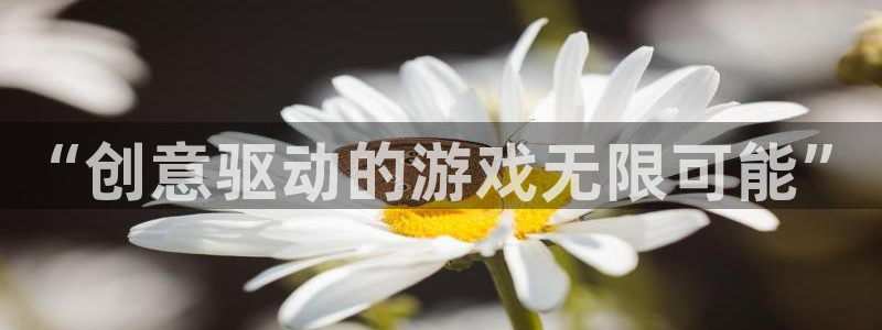 沐鸣2平台线路：“创意驱动的游戏无限可能”